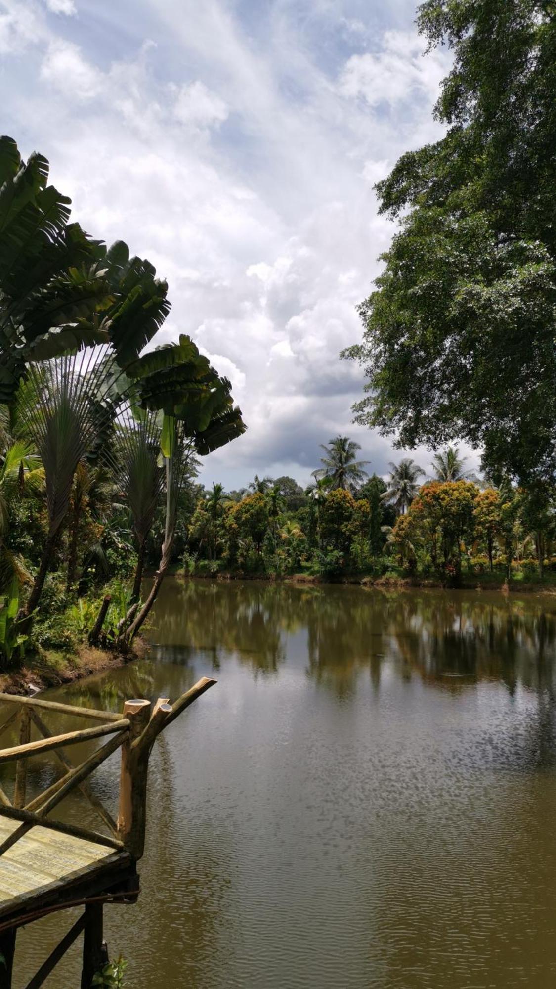 Sepilok Jungle Resort Eksteriør billede