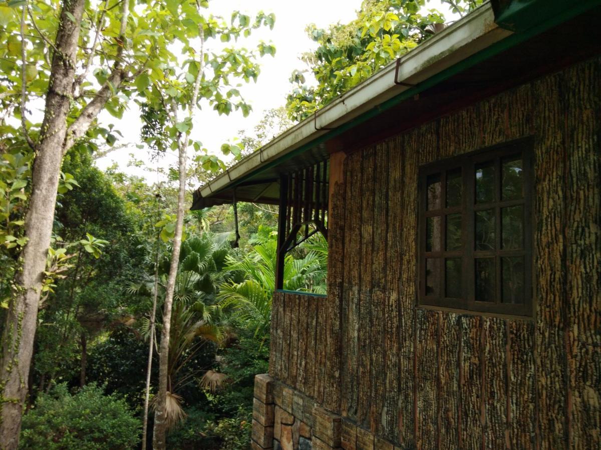 Sepilok Jungle Resort Eksteriør billede